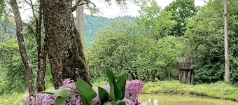 Room in Guest Room - Heavenly Sejour Forest for 2 People