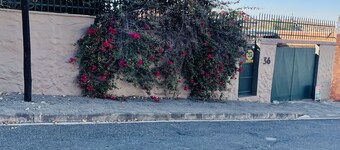 Newly Renovated House Close To The Heart Of CBD