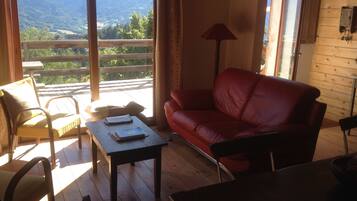 Télévision, cheminée, lecteur de DVD, chaßne hi-fi