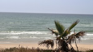 Ein Strand mit einer Palme im Vordergrund und dem Meer im Hintergrund.
