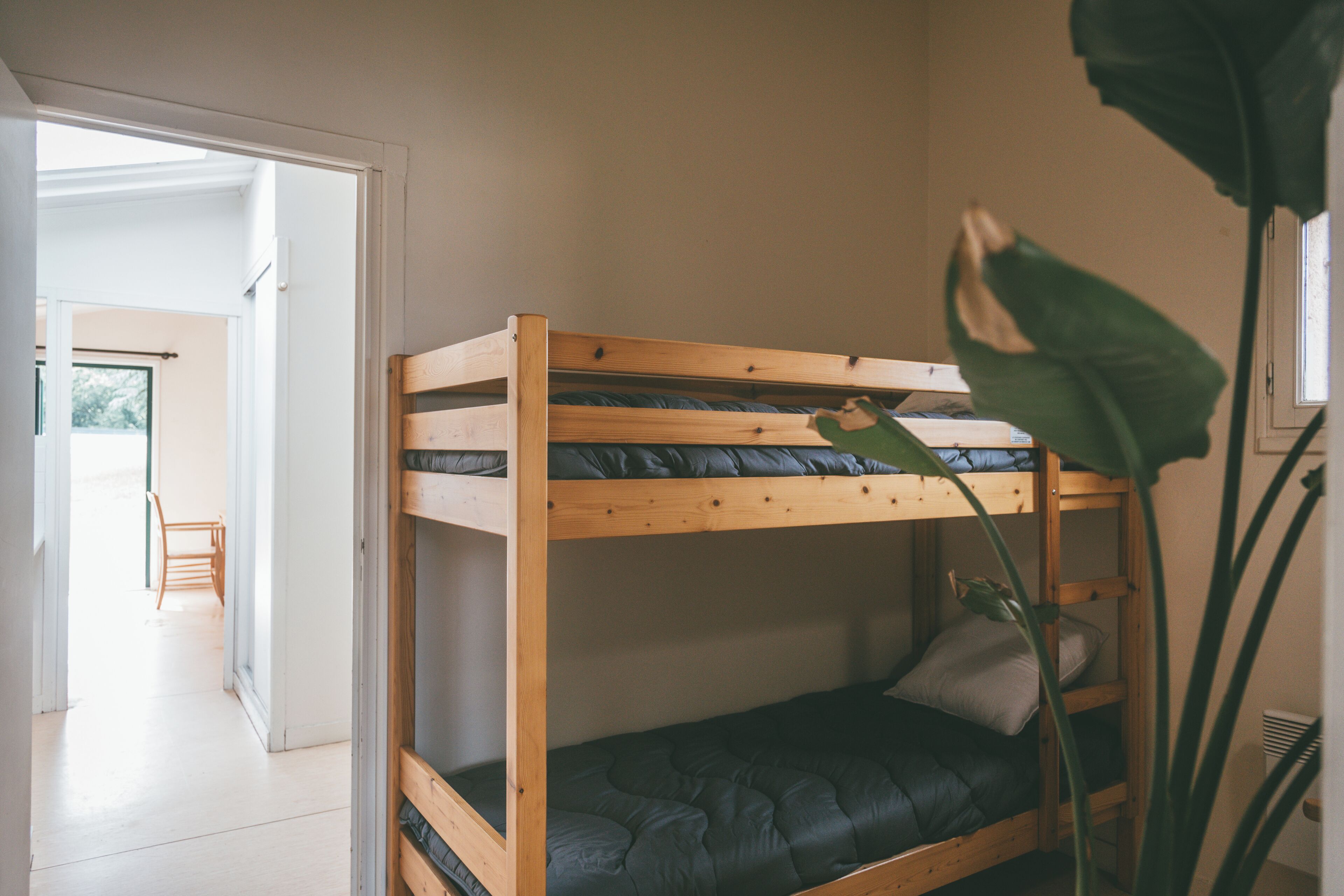 A bunk bed with a wooden frame and dark bedding, a plant beside it, and a doorway leading to a bright room.