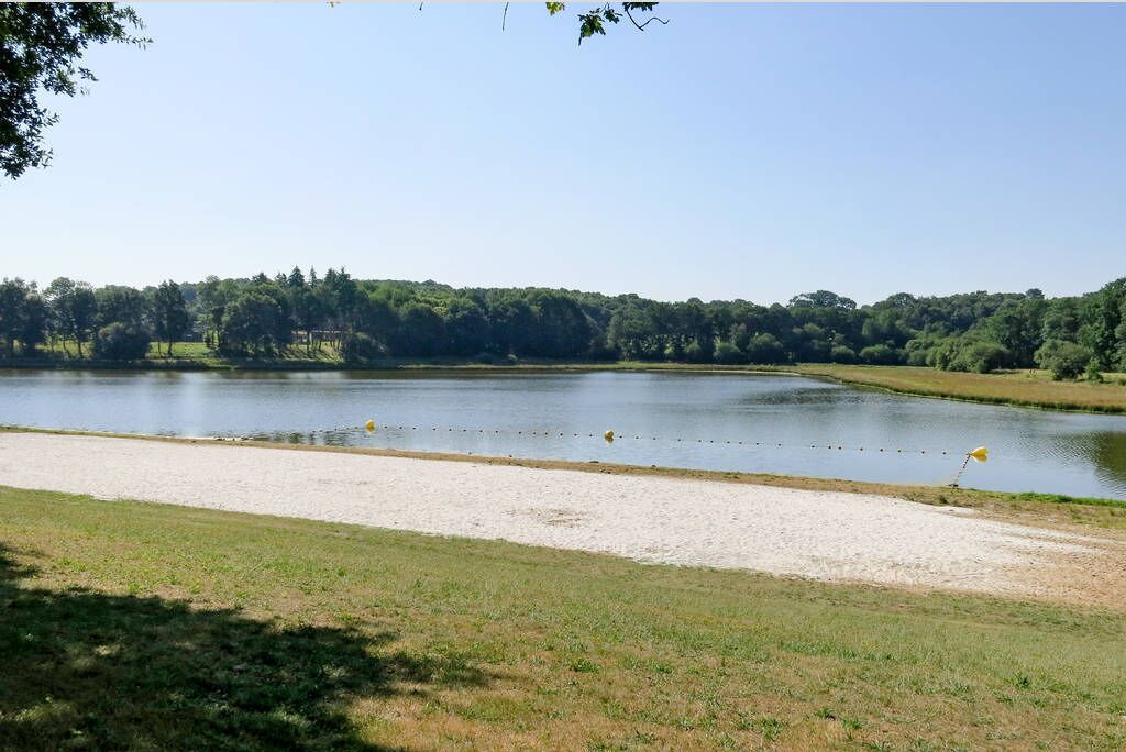 A calm lake with a sandy shore and a grassy area in the foreground.