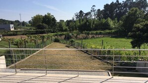 A paved walkway with metal railings, leading to a vineyard area with rows of grapevines. - Bright, modern house with green views! (Lage)