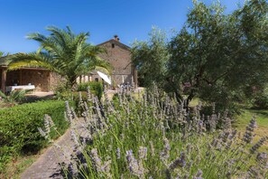 Property grounds - GIRASOLE - IL VECCHIO MULINO TOSCANA (RADICONDOLI)