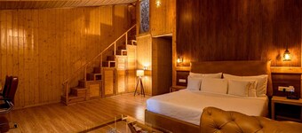 Luxurious Villa w/all meals Nainital