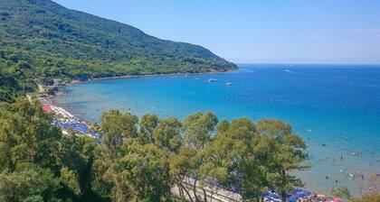 Stunning home in Laureana Cilento