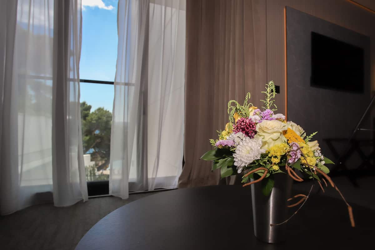 comfort studio suite | view from room