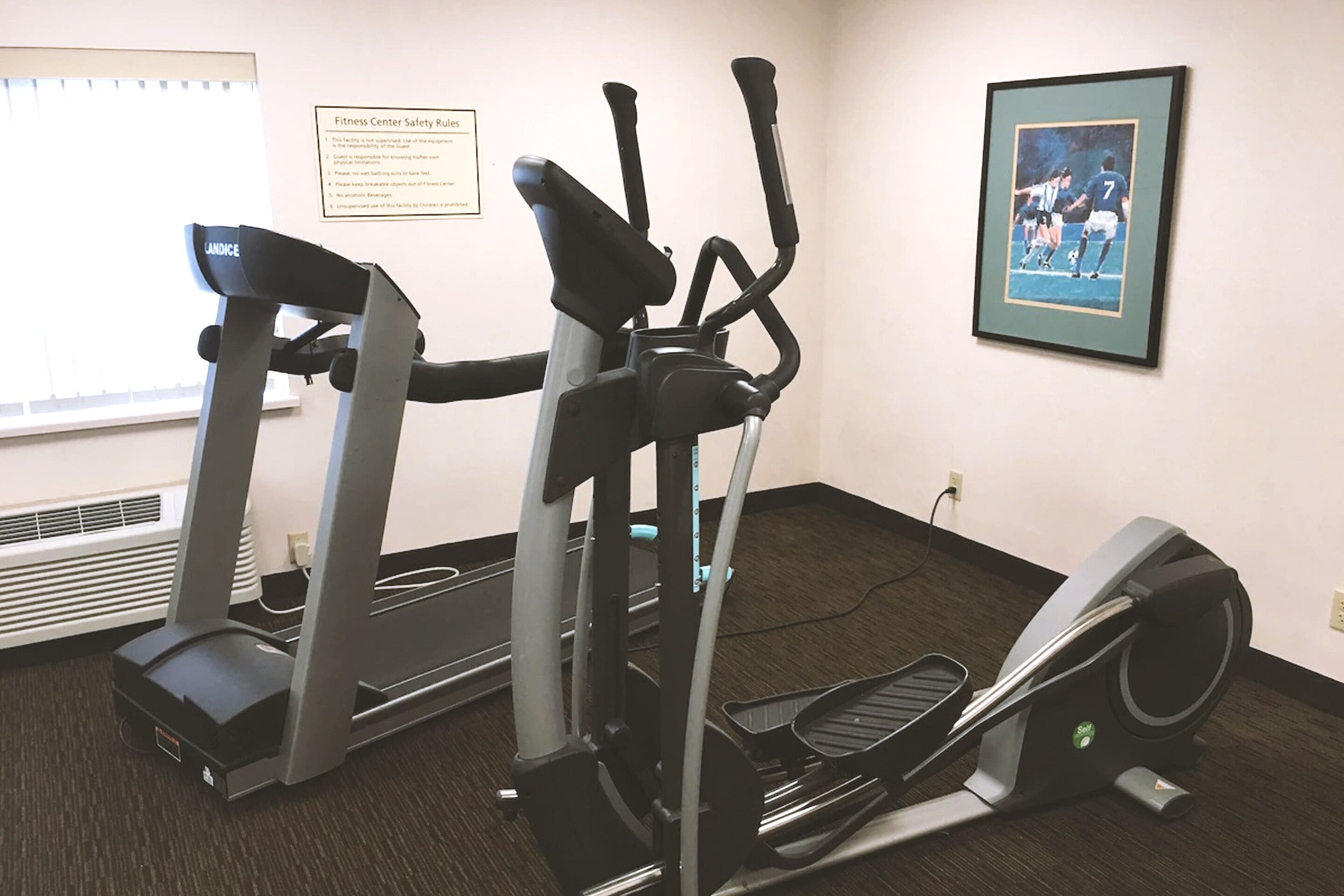 A fitness center with treadmills, elliptical machines, and a framed picture on the wall.