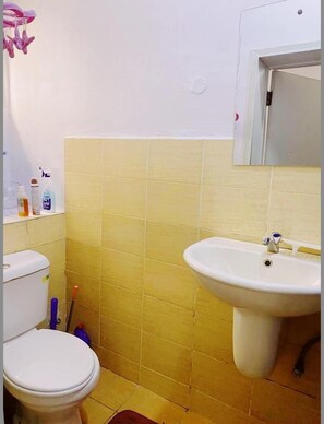 Shower - Serviced studio apartments lekki phase1 (Lekki phase 1)