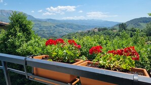 A balcony with potted geraniums and a view of a mountainous landscape.