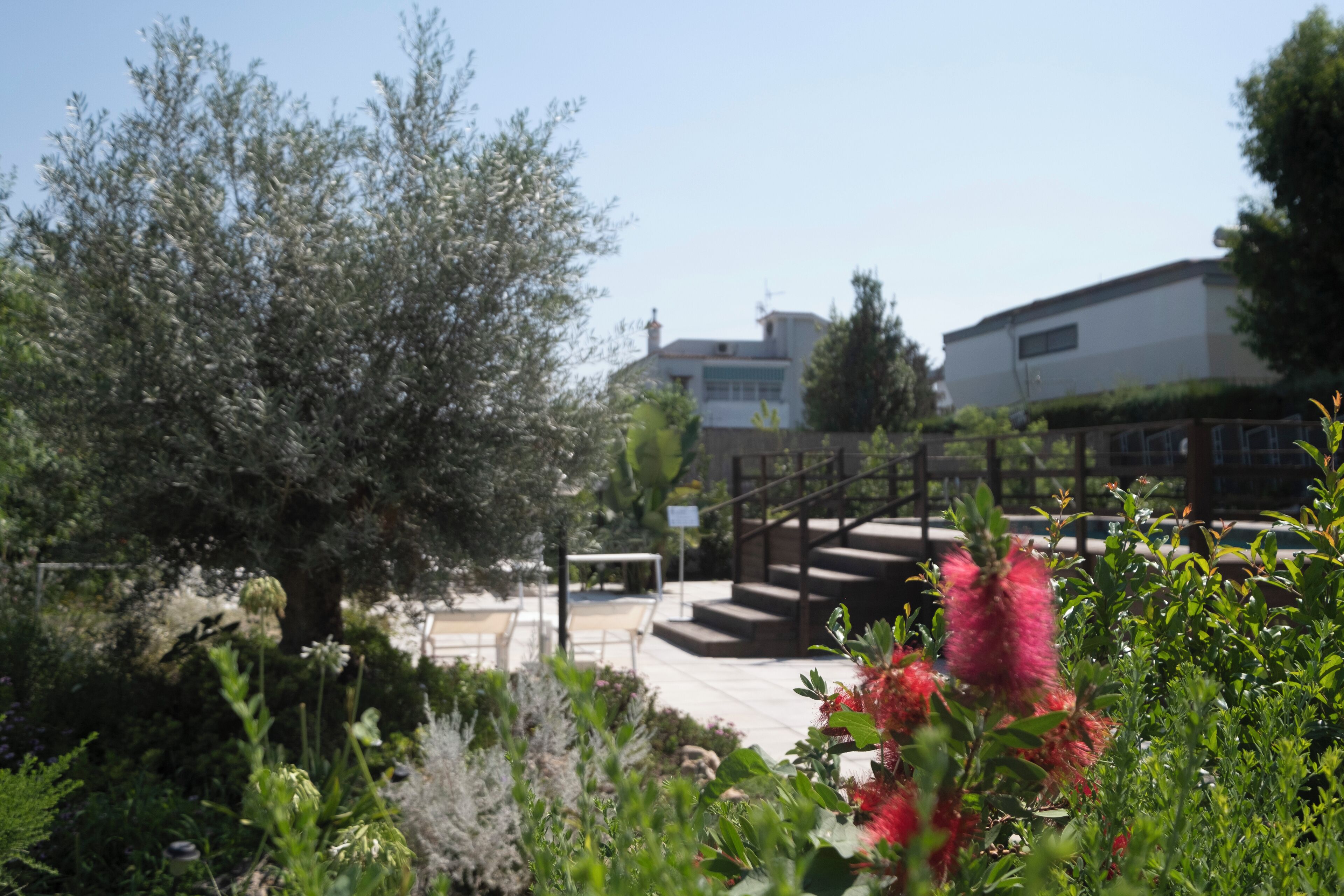 A garden with a wooden deck, a staircase, and a building in the background.