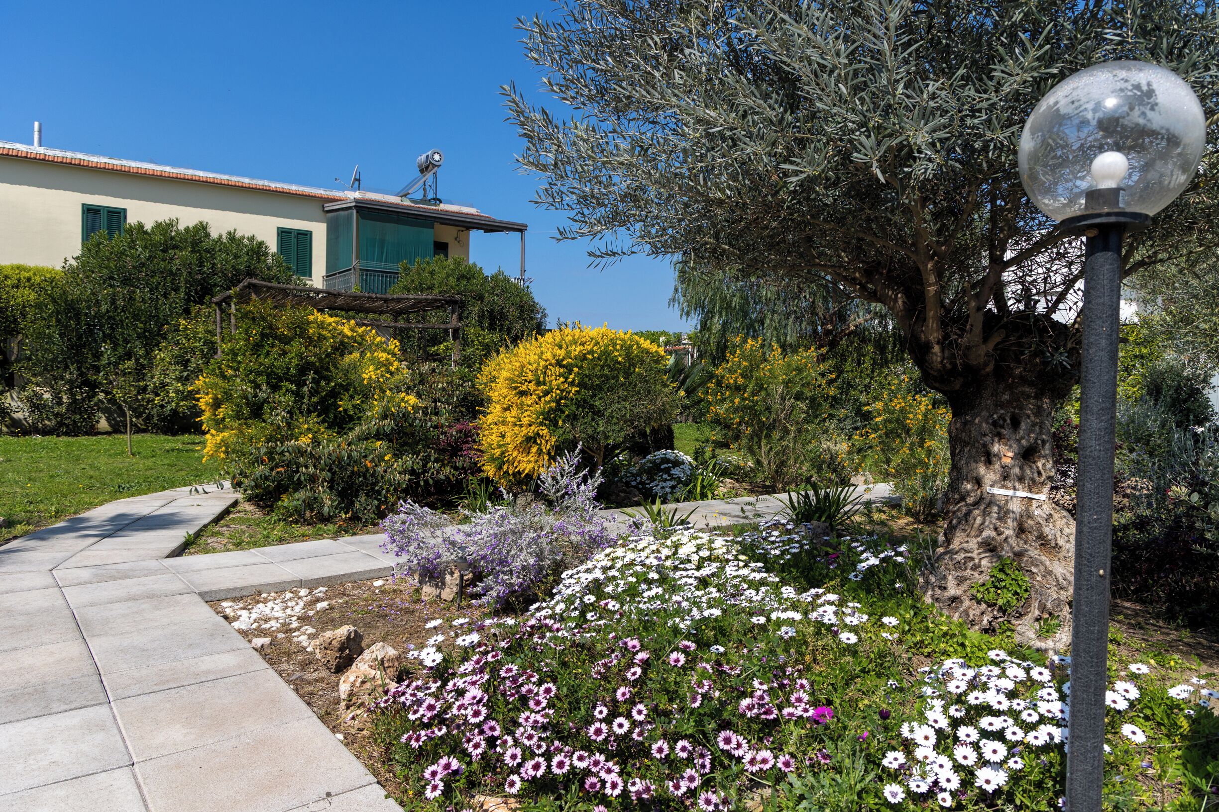 A garden with a variety of flowers, a pathway, and a building with a satellite dish.