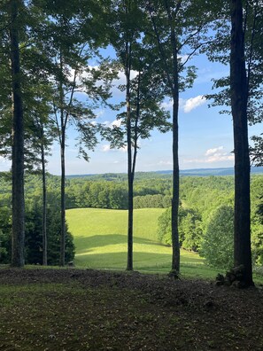 Terrain de l’hébergement 
