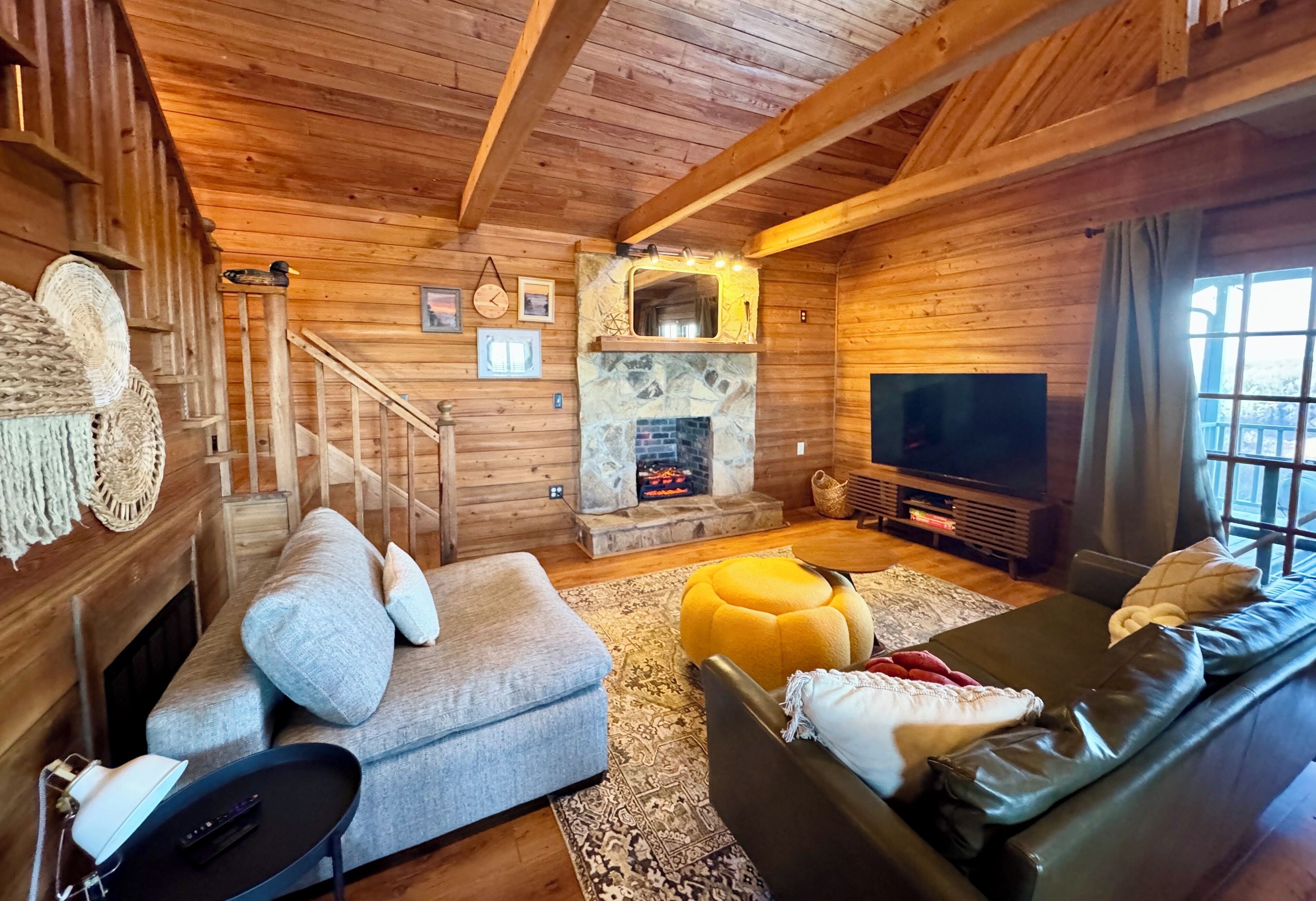 TV connectée, cheminée, lecteur de DVD, livres