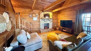 TV connectée, cheminée, lecteur de DVD, livres