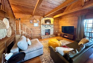 TV connectée, cheminée, lecteur de DVD, livres