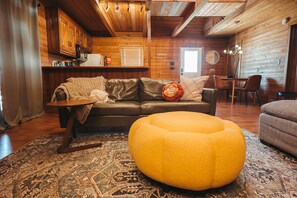 Smart TV, fireplace, DVD player, books