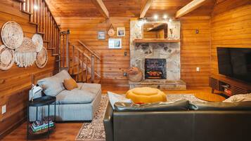 Smart TV, fireplace, DVD player, books