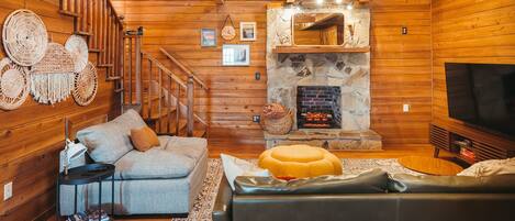 TV connectée, cheminée, lecteur de DVD, livres