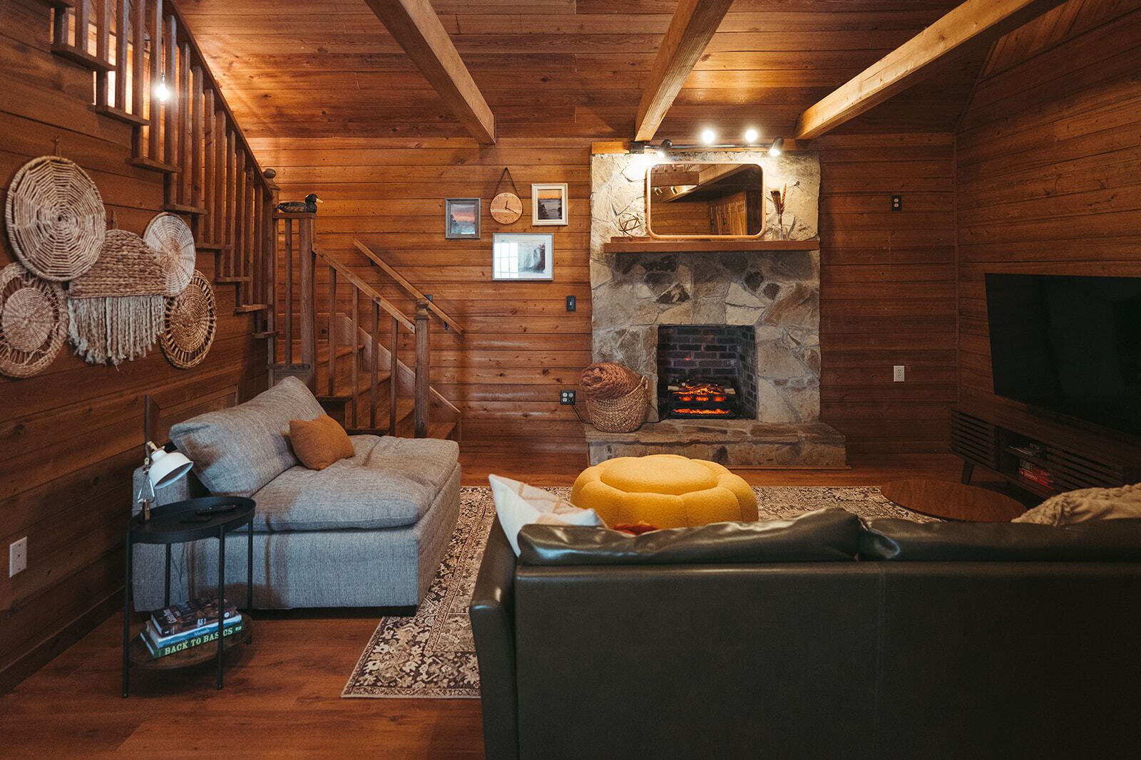 TV connectée, cheminée, lecteur de DVD, livres