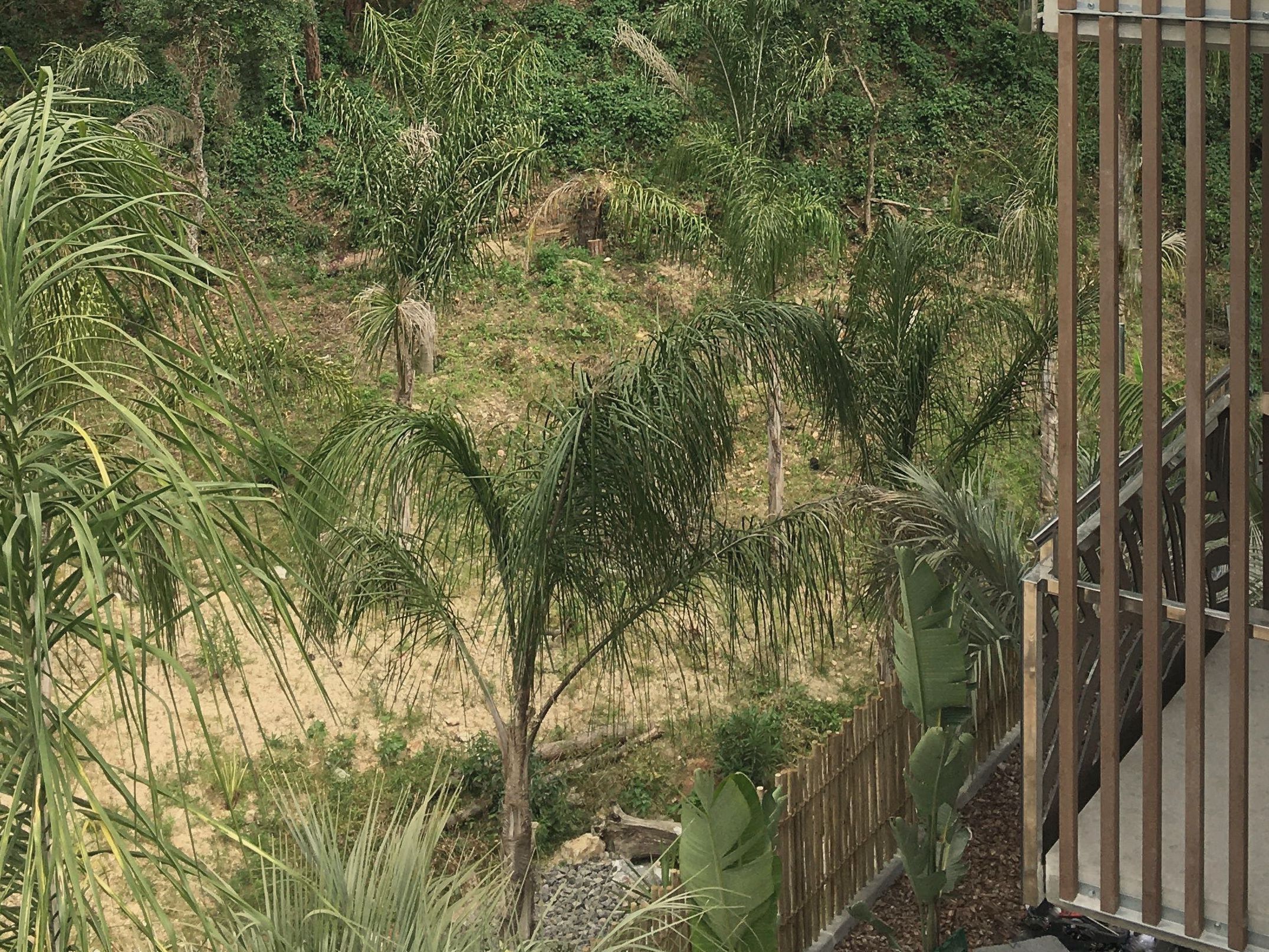 Photo - Casa Coco Boutique Hotel & Spa 4*S - Adults Only