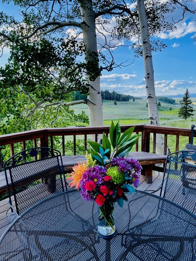  Arrowhead Sanctuary!! Beautiful Cabin! Deck with Fire Pit & Incredible Views!