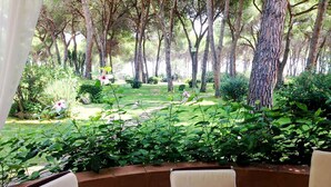 Ein Außenbereich mit Sitzgelegenheit und Blick auf einen Garten und Bäume.