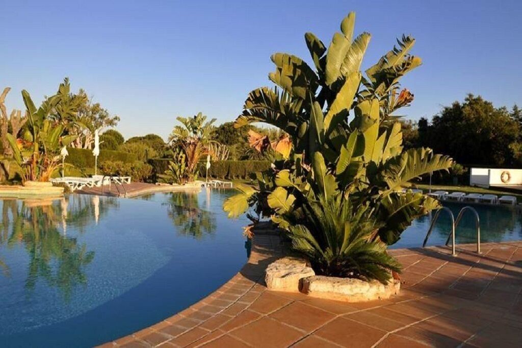 A swimming pool with a tiled deck, surrounded by tropical plants and palm trees.