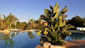 Una piscina con borde de baldosas, rodeada de plantas tropicales y palmeras.