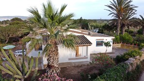 Un bâtiment blanc avec un toit recouvert de tuiles, entouré de différentes plantes et de cactus.