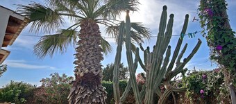 Casa acogedora en un lugar privilegiado