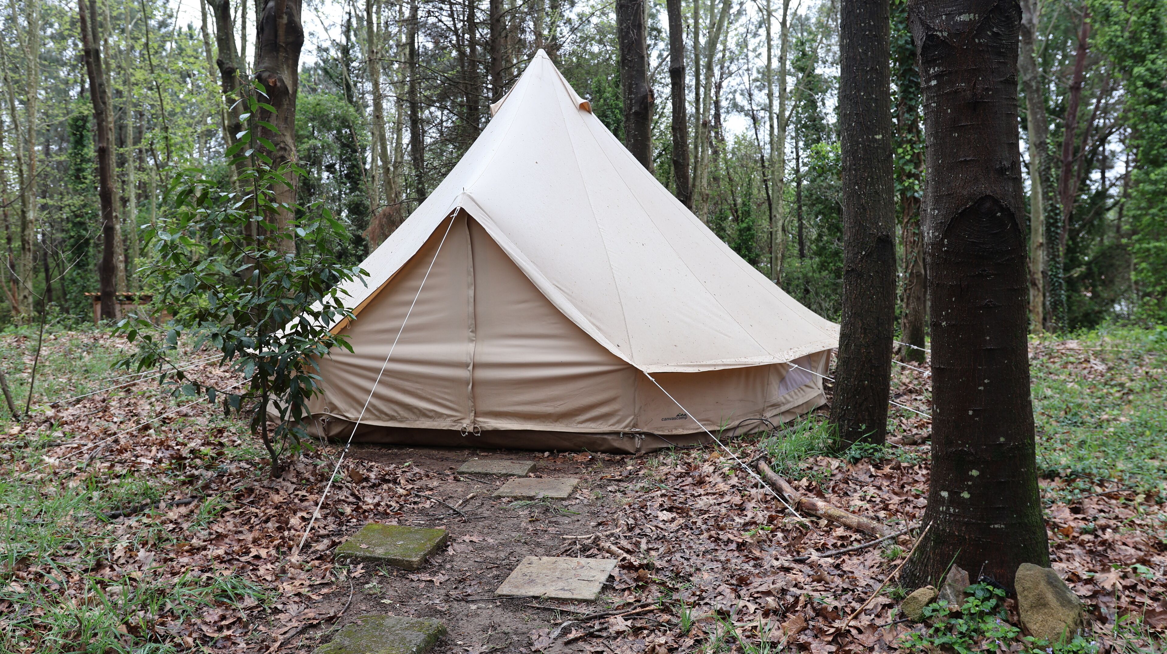 Foto - Associação Quinta das Relvas