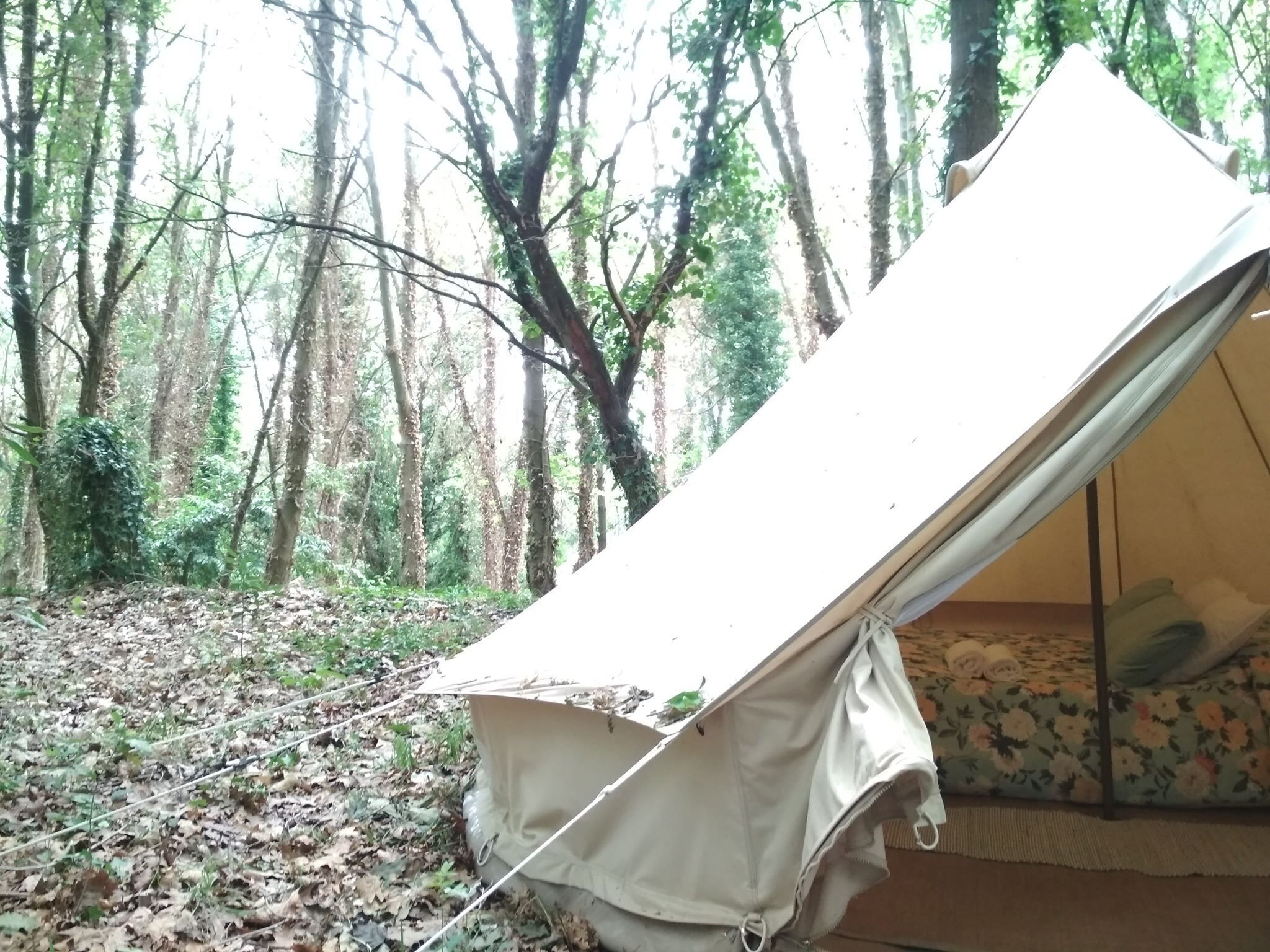 Foto - Associação Quinta das Relvas