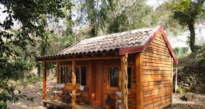 Associação Quinta das Relvas