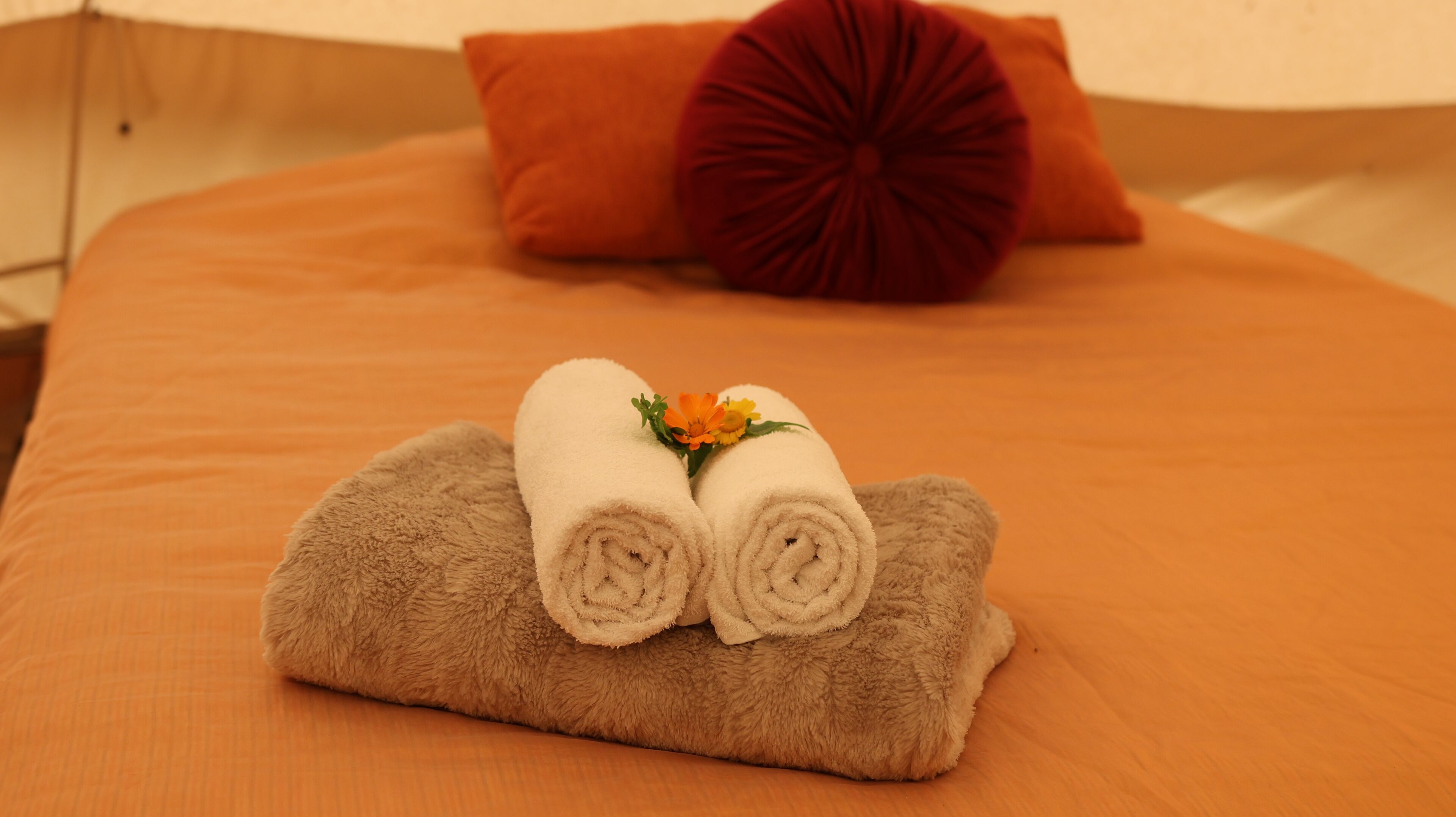 Foto - Associação Quinta das Relvas