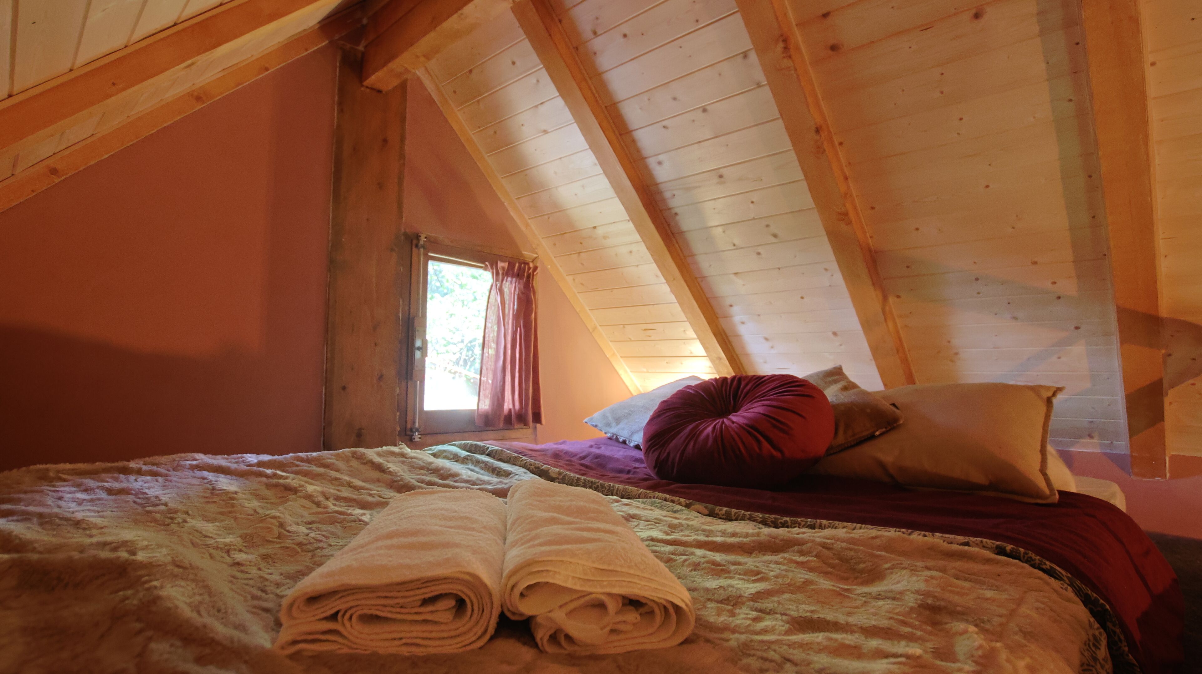 Foto - Associação Quinta das Relvas