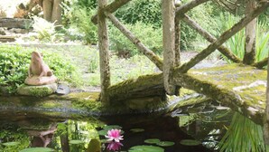 A serene pond with a pink water lily, surrounded by lush greenery and a rustic wooden bridge. - The Frogtown Inn (Canadensis)