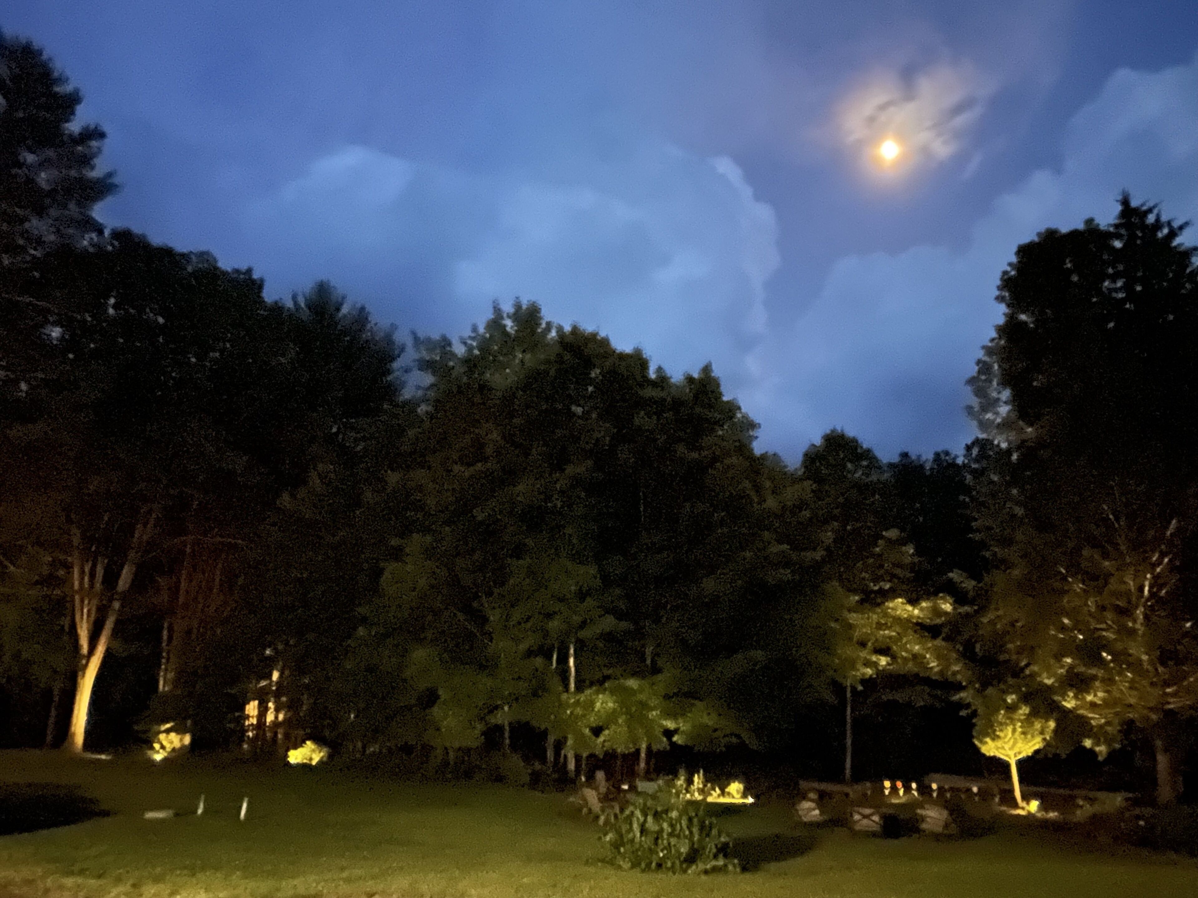 A nighttime view of a park with trees and a visible moon.