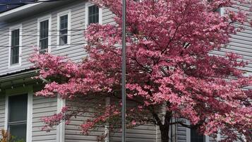 A two-story house with a flagpole and a blooming tree in front.
