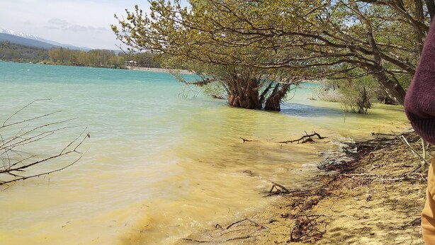 A sandy beach with clear turquoise water, a large tree, and a distant mountain range. - Agréable Chambre Indépendante Avec Piscine & Parc (Brézilhac)