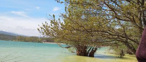 Chaises longues, serviettes de plage