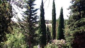 A garden with tall trees, a wooden fence, and outdoor furniture. - Agréable Chambre Indépendante Avec Piscine & Parc (Brézilhac)