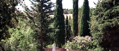 Un jardín con árboles altos, una valla de madera y mobiliario exterior.