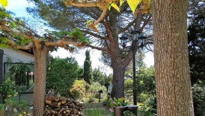 A garden with a pergola, a stack of firewood, and several potted plants. - Agréable Chambre Indépendante Avec Piscine & Parc (Brézilhac)