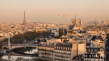 A cityscape with the Eiffel Tower, Notre-Dame Cathedral, and a river.