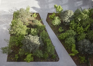 Courtyard view