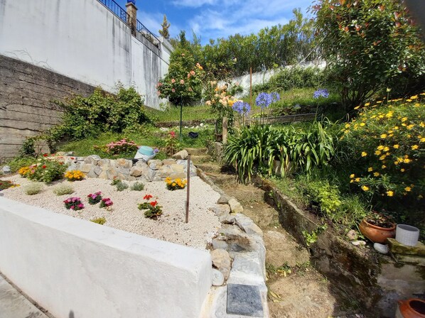 A garden with various flowers and plants, a stone pathway, and a white wall.