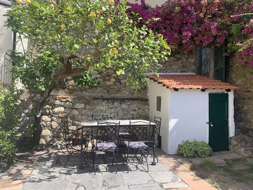 Old Virginia house, charm with garden and sea