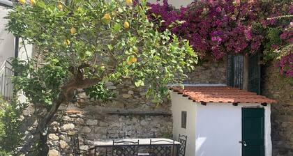 Old Virginia house, charm with garden and sea