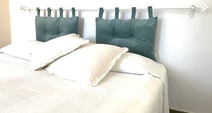 Old Virginia house, charm with garden and sea